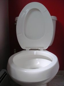 toilet