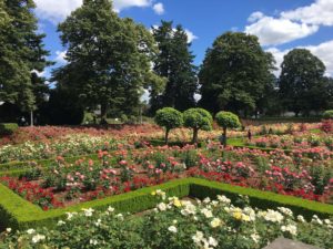 Vistors love our beautiful parks