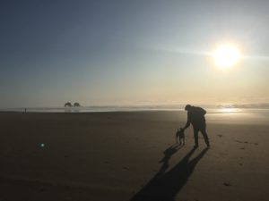 Dog Friendly Rockaway Beach